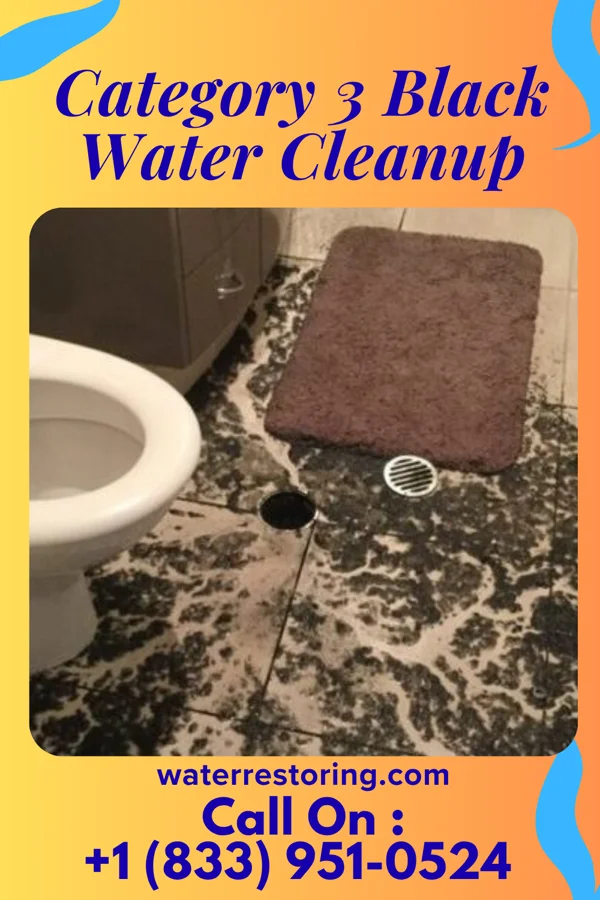Category 3 Black Water Cleanup in Butlertown, MD