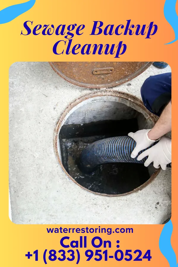 Sewage Backup Cleanup in Butlertown, MD