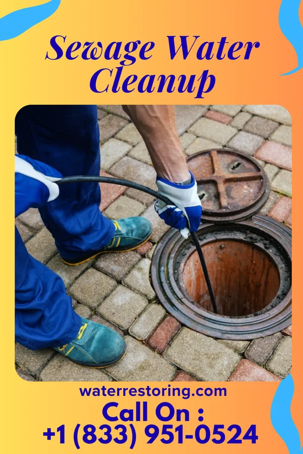 Sewage Water Cleanup in Butlertown, MD